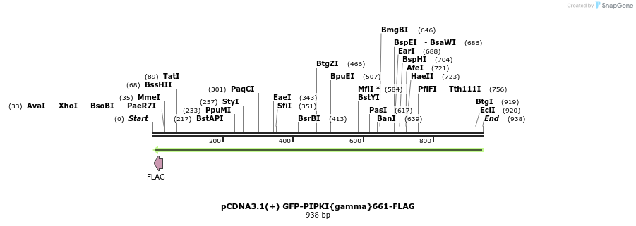 36121_map
