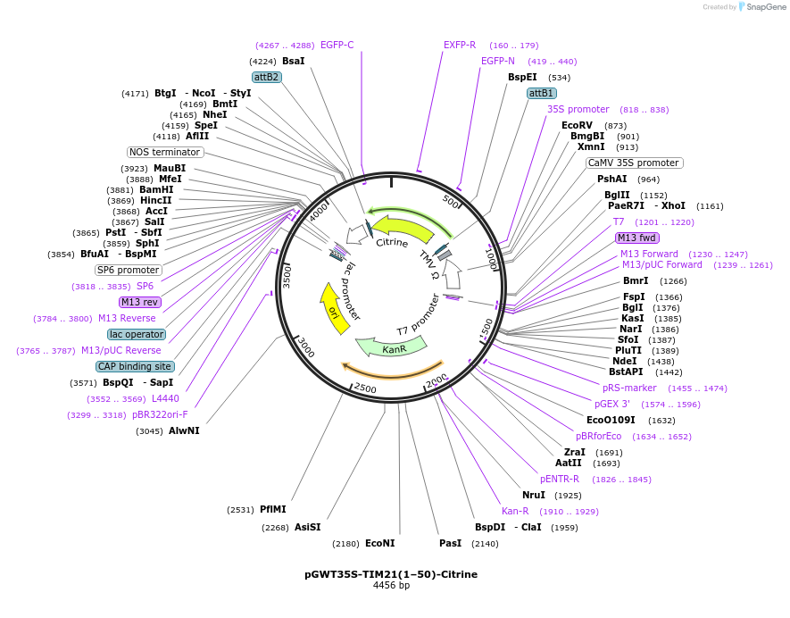 361290_map