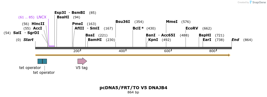 36132_map