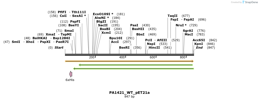 36135_map
