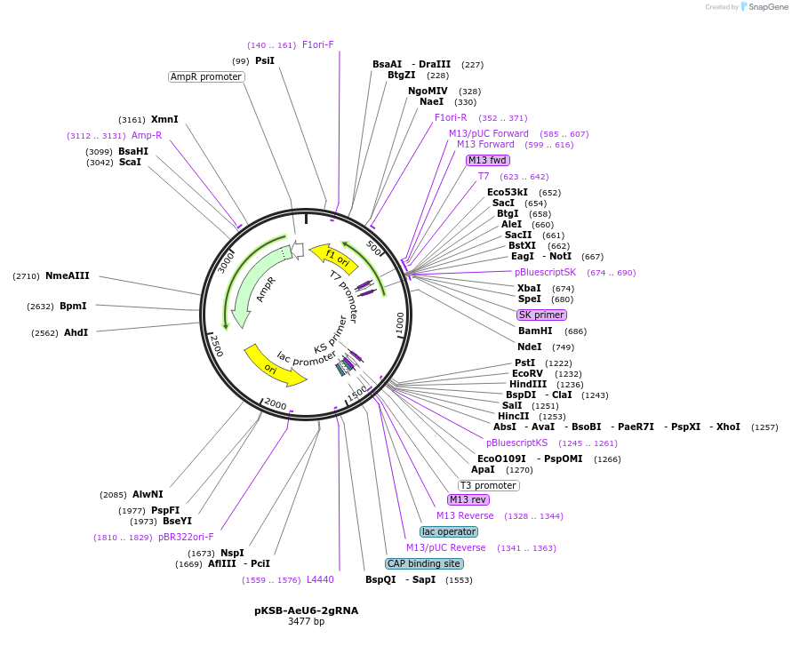 361375_map