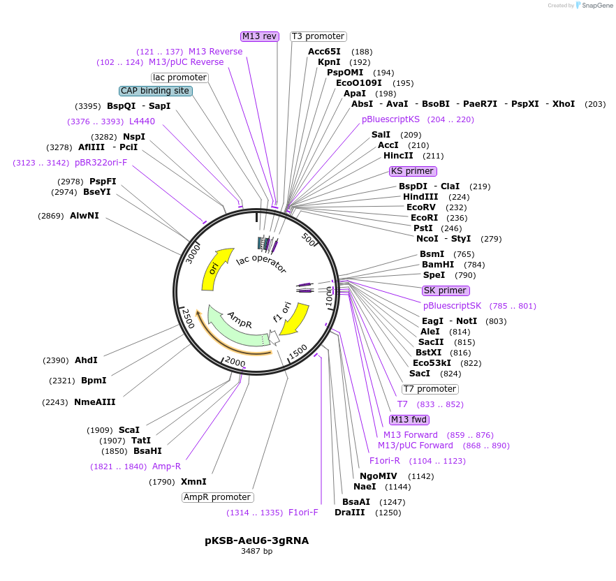 361376_map