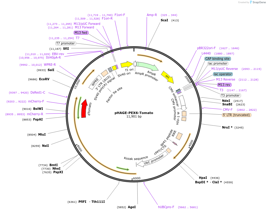 361440_map