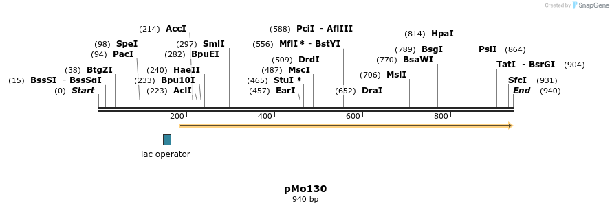 36148_map