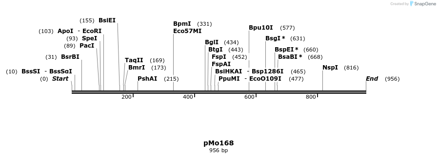 36149_map