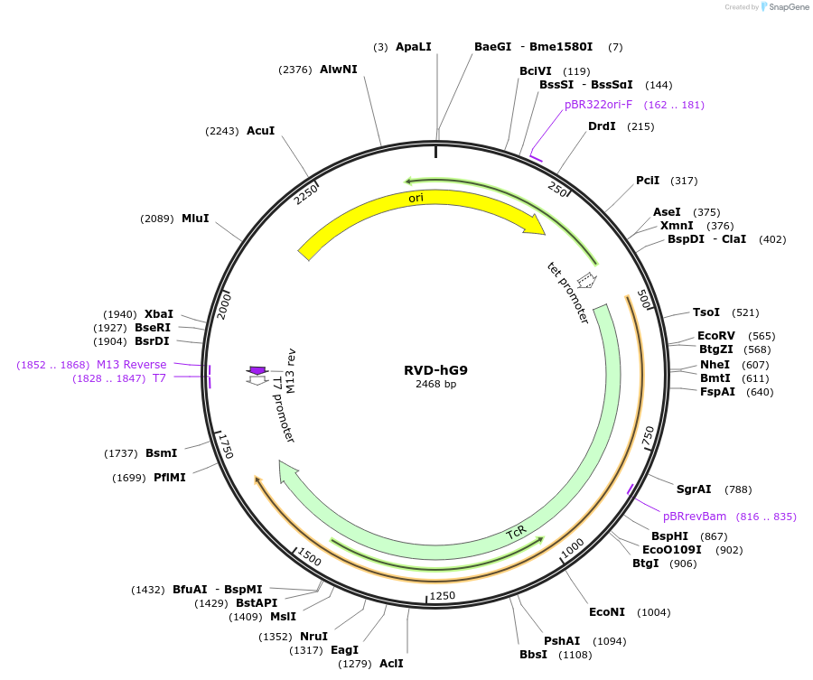 361539_map