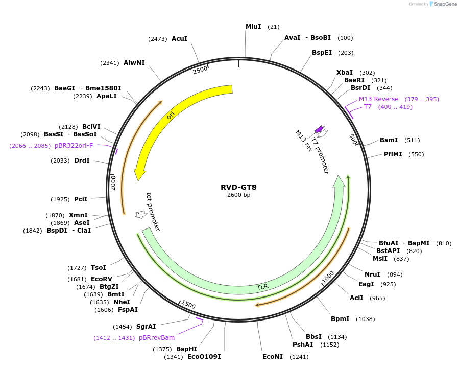 361552_map