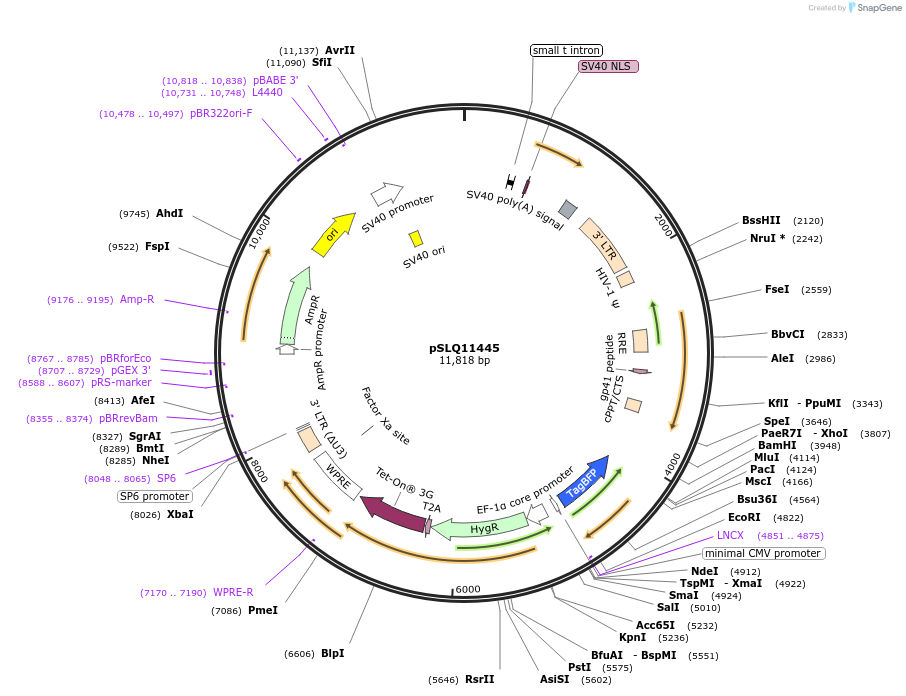 361637_map
