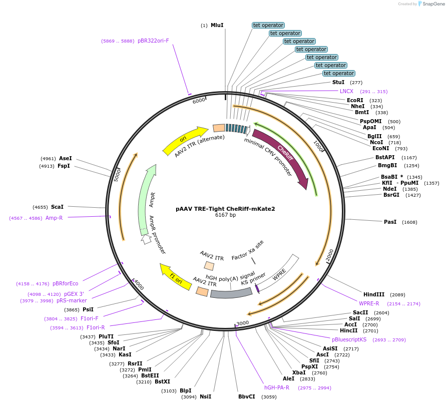 361777_map