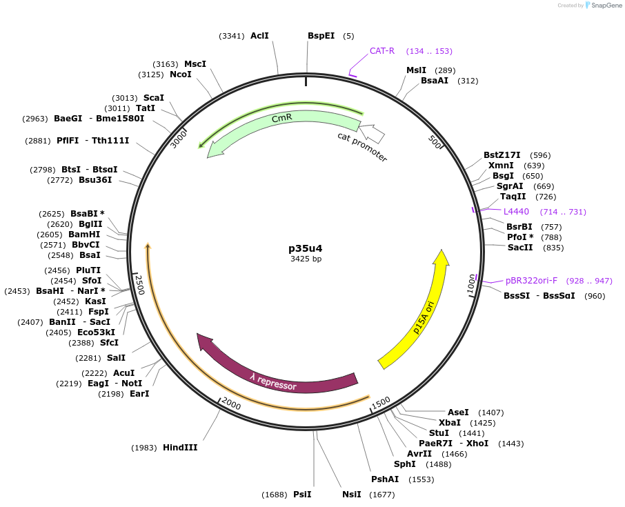 361842_map