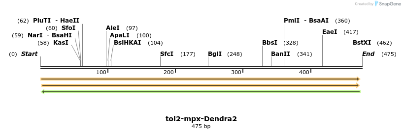 36189_map