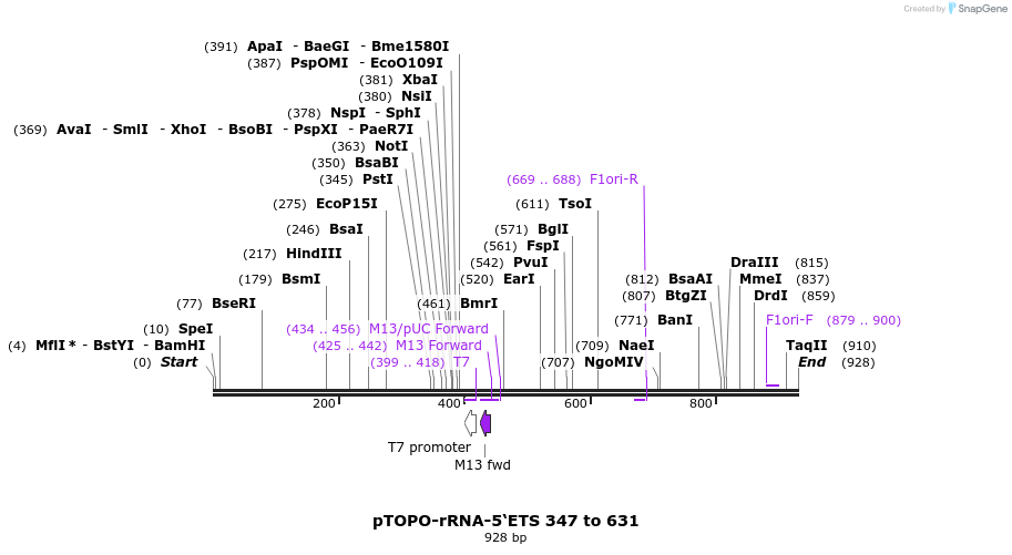 36197_map