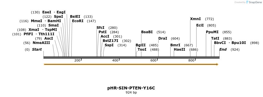 36199_map