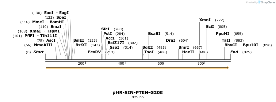36200_map