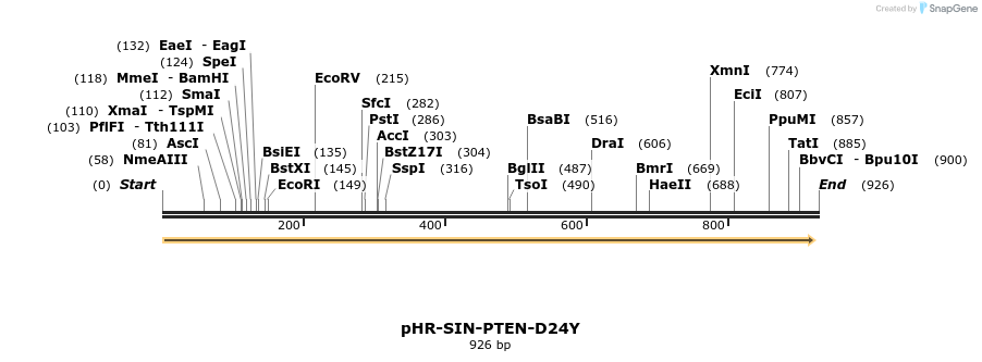 36201_map