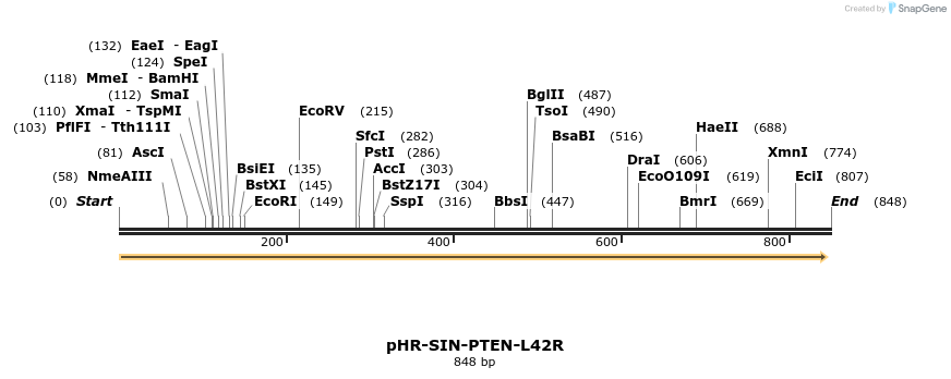 36202_map