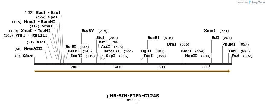 36203_map