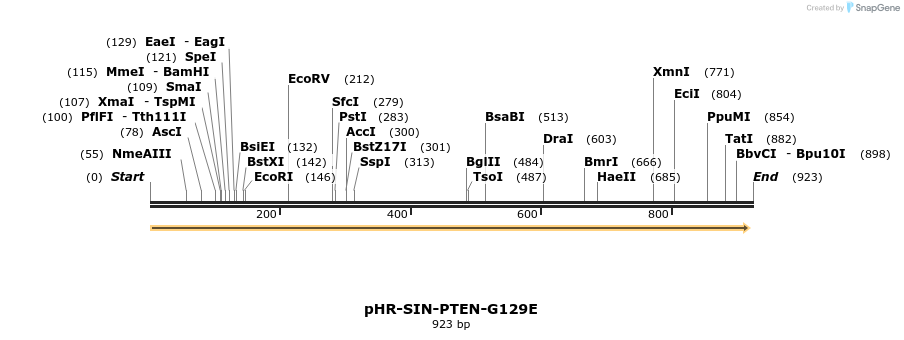 36204_map