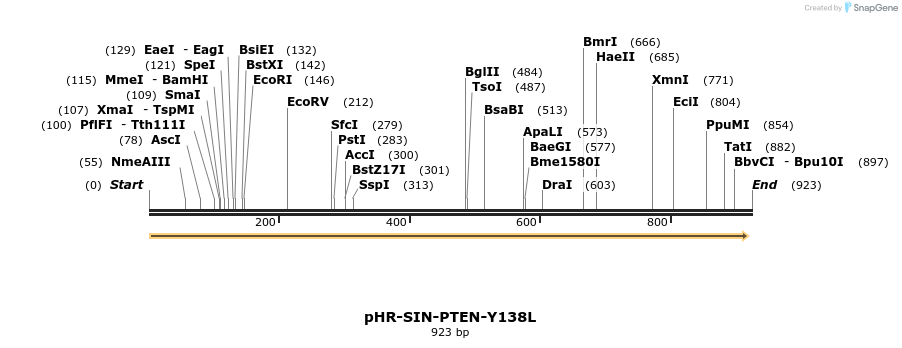 36205_map