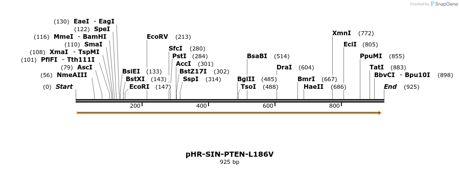36206_map