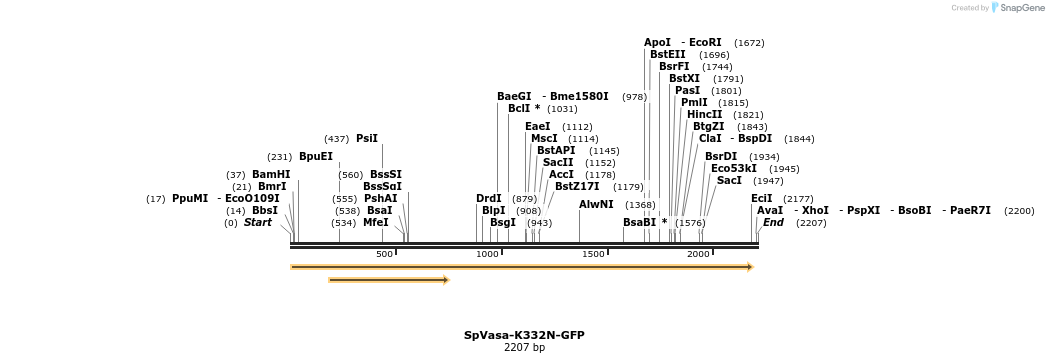 362069_map