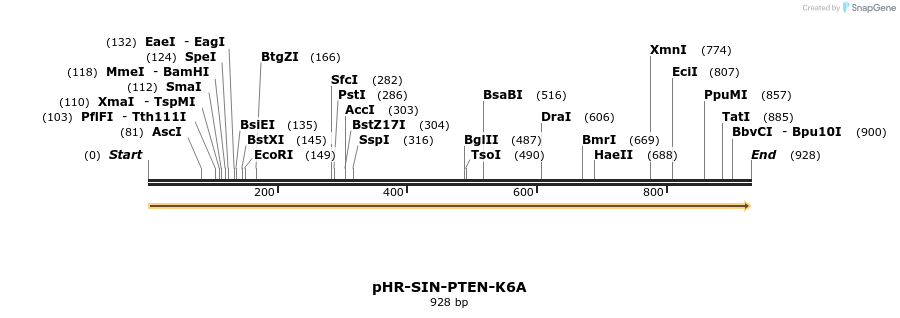 36207_map