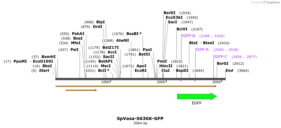 362084_map