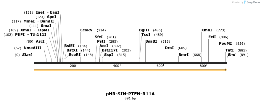 36209_map