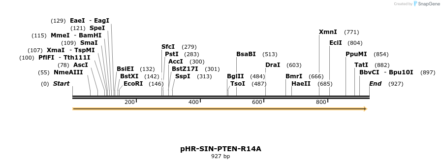 36210_map