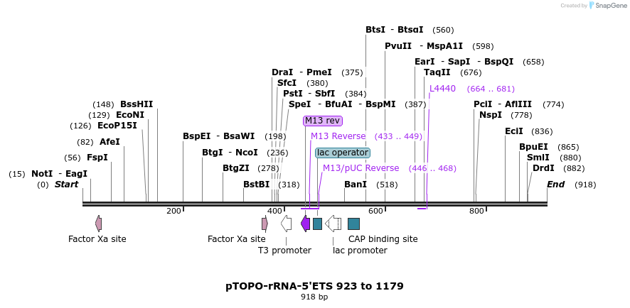 36212_map