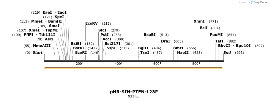 36213_map