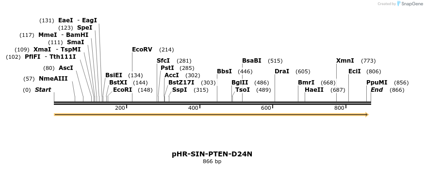 36216_map