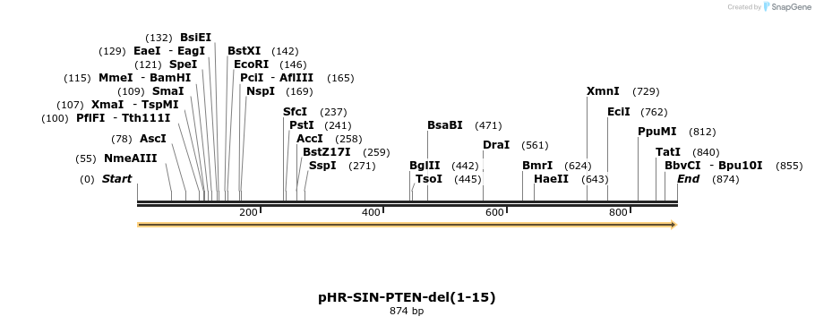 36218_map