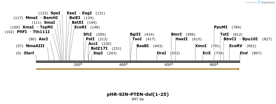 36219_map