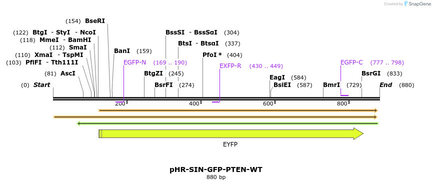 36220_map