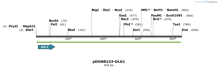 36233_map