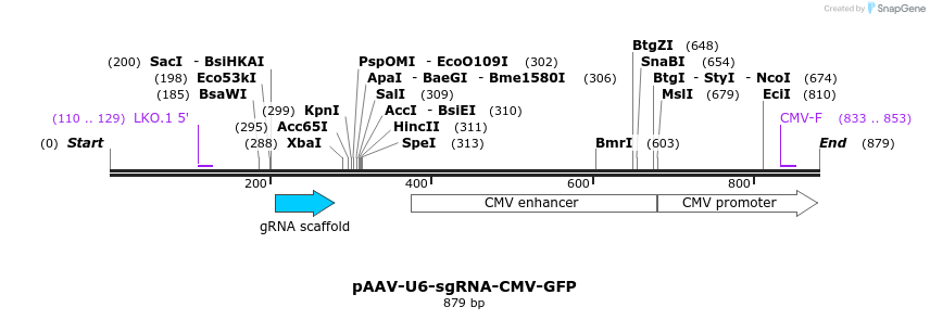 362485_map