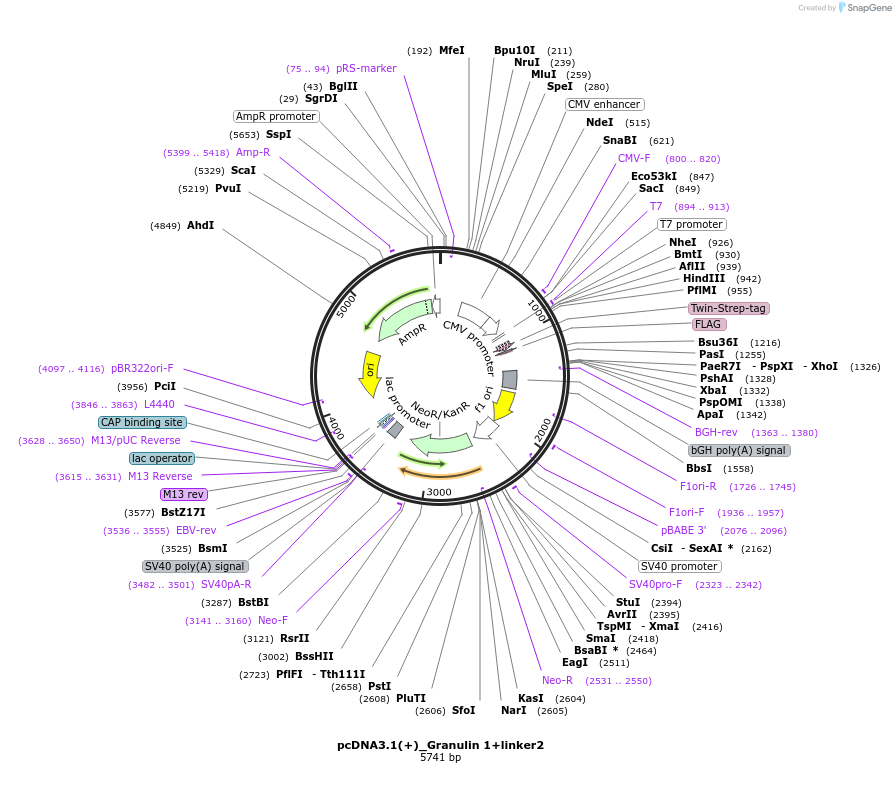362539_map