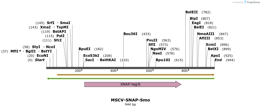 36260_map