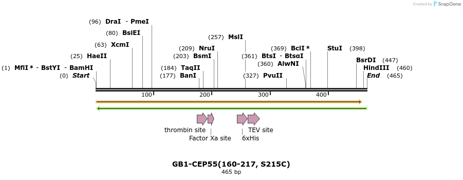 362694_map