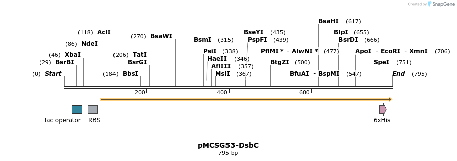 362706_map