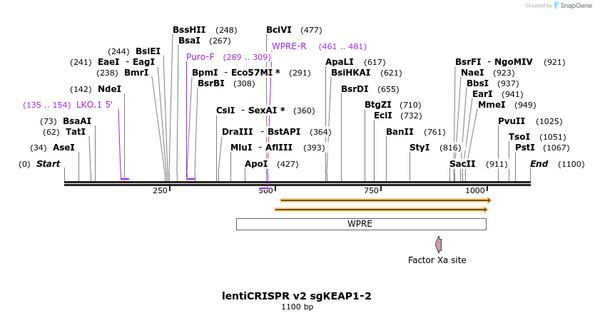 362717_map