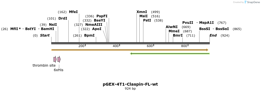 36272_map