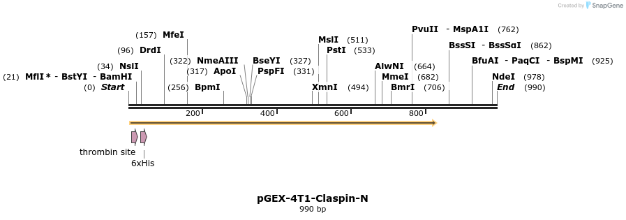 36282_map