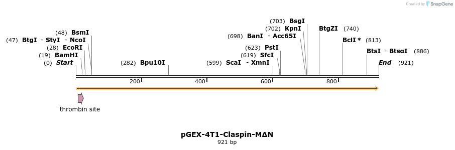 36286_map