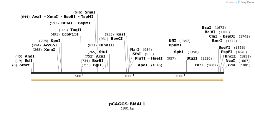 362905_map