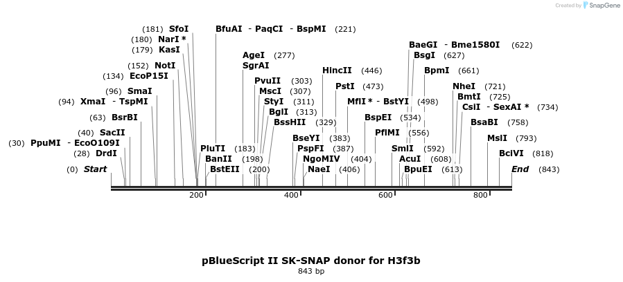 362953_map