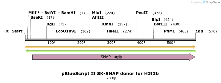 362954_map