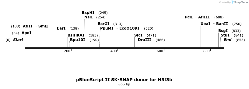 362955_map
