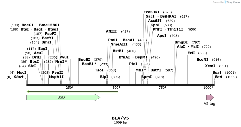 363_map